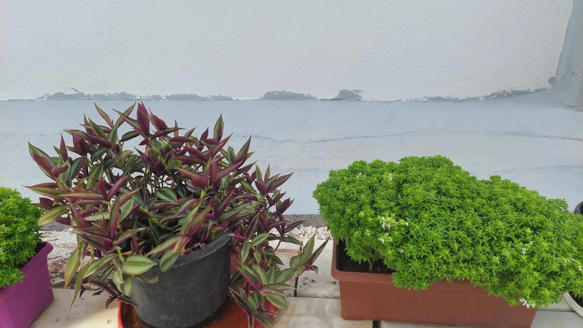 Celeste Hotel Fethiye